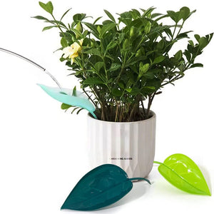 Plant Water Funnel